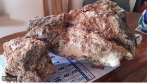 " كنز البحر " ..يغير حياة صياد فقير إلى مليونير