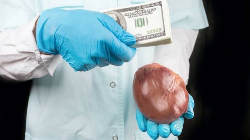 تنشط بين تونس وتركيا.. كشف شبكة دولية لتجارة الأعضاء