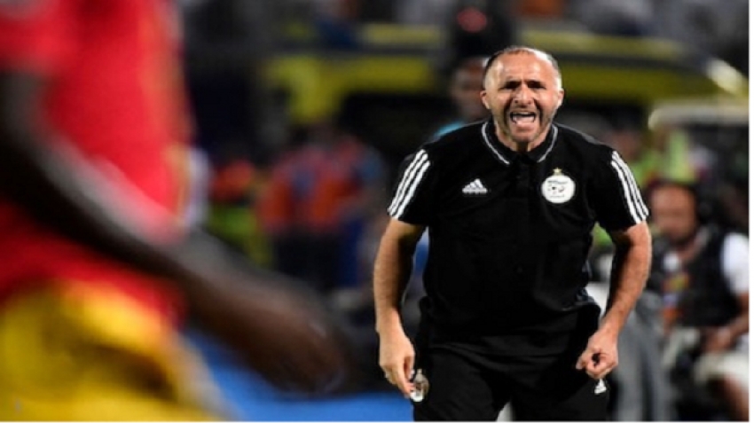 جمال بلماضي