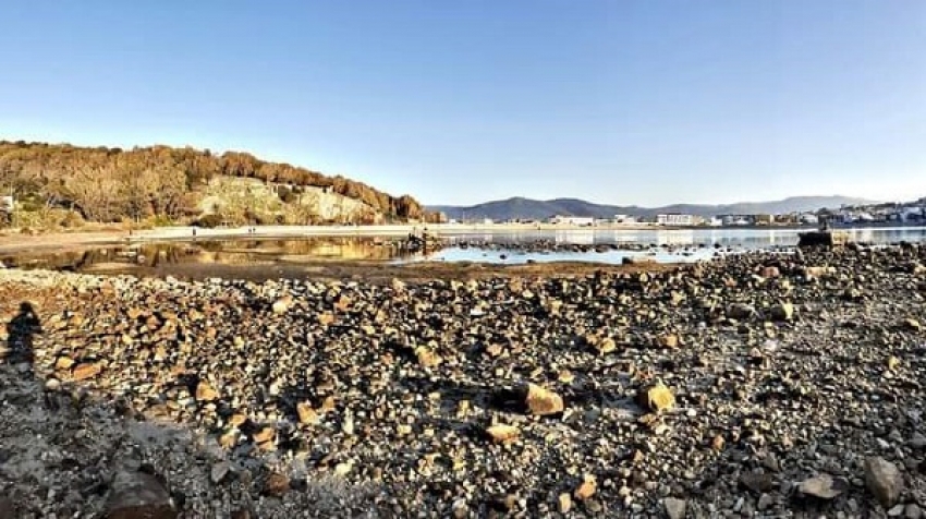 صورة  من موقع التواصل الاجتماعي فايس بوك