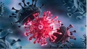 بشرى سارة ..  دلتا قد يكون آخر تحور لكورونا