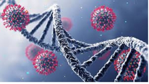 متحور كورونا الجديد يربك العالم .. وأوروبا تعلق السفر لجنوب أفريقيا