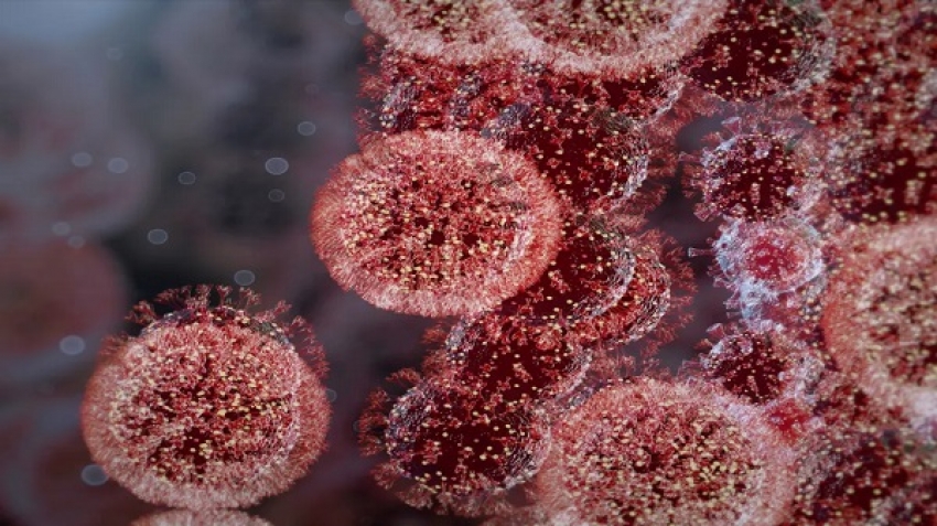 أخبار مخيبة للآمال حول كورونا.. موجة جديدة كل 4 أشهر!